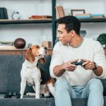 11 meilleures races de chiens pour les étudiants
